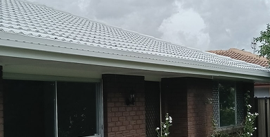 roof painting